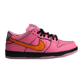 Powerpuff Girls SB Dunk Low "Blossom"